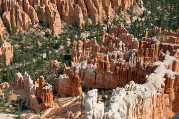 Details of Bryce Canyon with white rocks in front, red hoodoos and trees