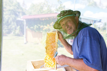 Beekeeper raskupaemost honeycomb with a special beekeeping tools . The concept of agriculture