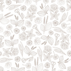 Fototapeta premium Herbs, spices and seasonings collection. Vector hand drawn seamless pattern with different plants