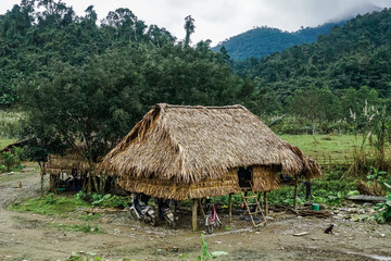 Fototapeta na wymiar Old wooden house in one of the villages of Vietnam. Quan Binh Province