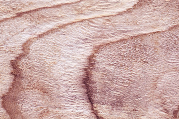  wood board, copy space wooden texture pattern background