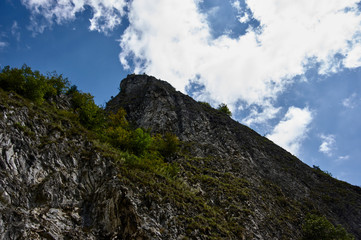 Sybahec