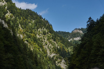 Obraz premium Sybahec