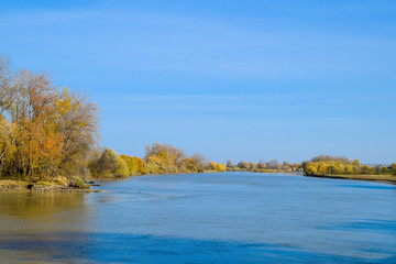 Autumn landscape. River bank with autumn trees. Poplars on the b