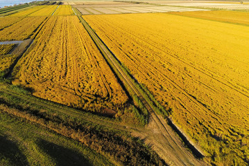 Naklejka premium aerial view on cultivated fields