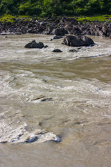 stream of the river Ganges with rocks on the shore and a green forest near Rishikesh, Uttarakhand, India