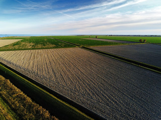 aerial view on cultivated fields