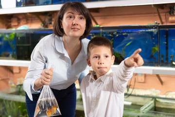 Boy with mother choosing fish