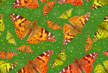 Seamless pattern with butterflies of different sizes on a green background.