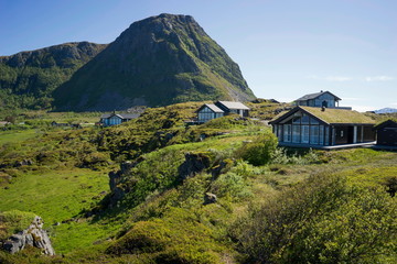 Obraz premium Traditional houses in the mountains of Lofoten, Norway