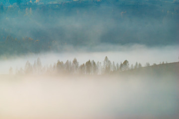 Misty morning in the mountains