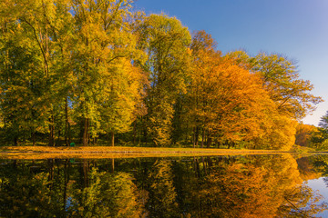 Fototapeta premium Ukrainian Autumn Beauty: Sofiyivka Park's Colorful Lake Scene