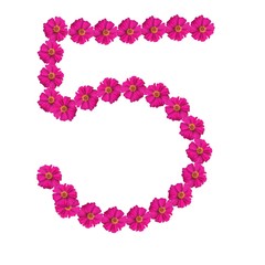 nature pattern design for home clothes and home wall