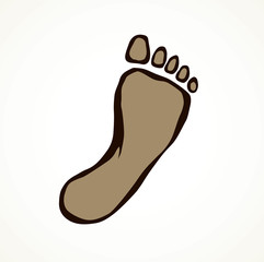 Foot. Vector drawing