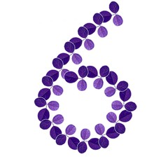 nature pattern design for home clothes and home wall