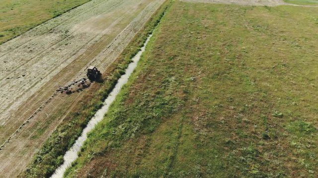 Top view of the tractor raking green grass using a rake-tedder. Hay harvesting for cattle feed