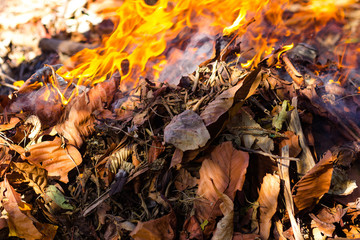 Dry leaves on fire - Domestic Gardening Waste - Environmental Crime.