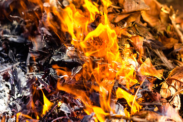 Dry leaves on fire - Domestic Gardening Waste - Environmental Crime.