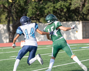 Great action photos of high school football players making amazing plays during a football game
