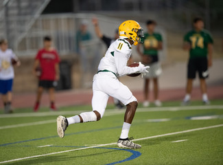 Great action photos of high school football players making amazing plays during a football game