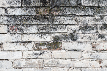 Old white brick wall background