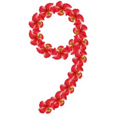 Obraz premium nature pattern design for home clothes and home wall