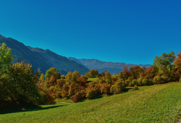 Fototapeta na wymiar Colorful swiss autumn landscape in Filisur.