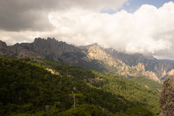 Paysage montagneux, rochers et pins en Corse