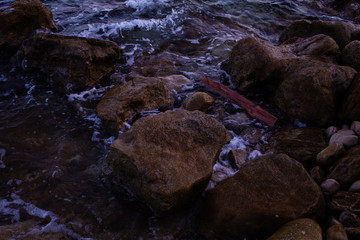 Obraz premium El Tronco