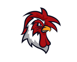 Detailed Angry Rooster Chicken Illustration 