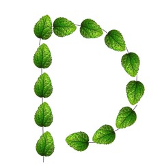 nature pattern design for clothes and home wall