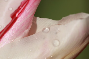 love christmas friends partner smile 