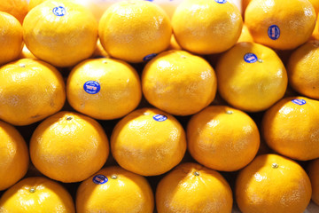 An imported sweet orange fruits in a shelter