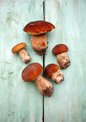 fresh mushrooms on wooden surface