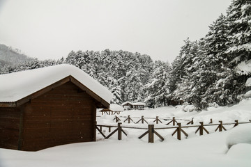 Turkey national park Abant, Bolu