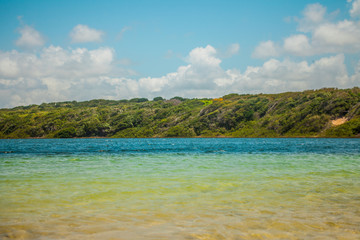 Colorful water of arituba lagoon and in the background leafy trees.
