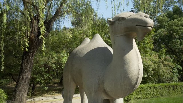 Two-humped camel statue at Ming Dynasty Tombs during sunny day - Beijing, China