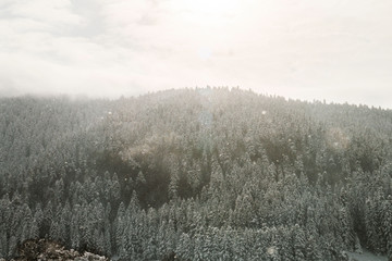 Turkey national park Abant, Bolu