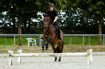 Reiterin springt mit ihrem Pferd im Sommer über ein Cavaletti