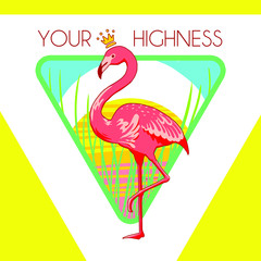 flamingo illustration graphic design