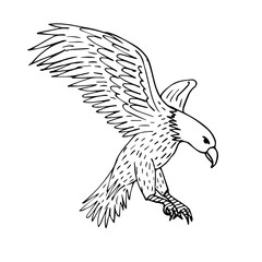 Vector hand drawn sketch flying eagle isolated on white background