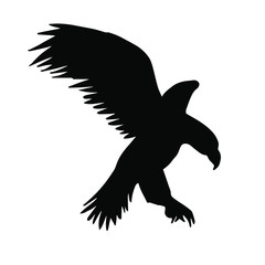 Vector flying eagle silhouette isolated on white background