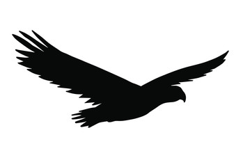 Vector flying American eagle silhouette isolated on white background