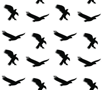 Vector seamless pattern of black flying eagle silhouette isolated on white background