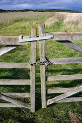 Portrait photo of a locked gate