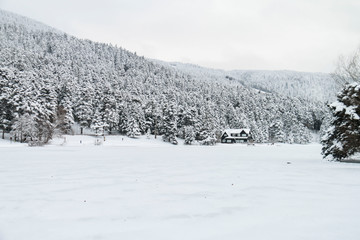 Turkey national park Abant, Bolu