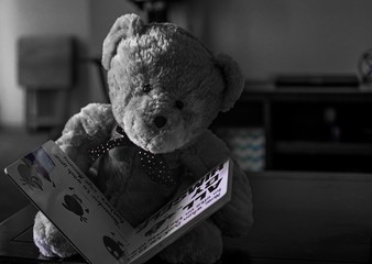 Teddy bear reading