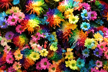 Fotobehang Bright colorful flowers © camposbiomed