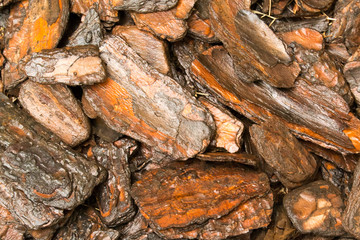 background of wet wood bark in the garden