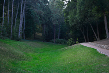 green lawn in the park